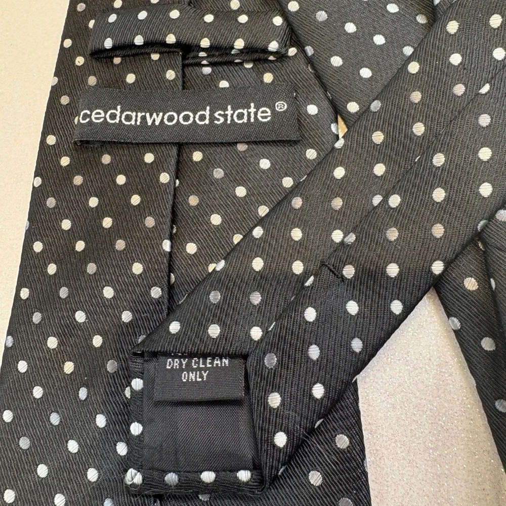 Cedarwood State‎ Mens Black Polka Dot Silk Blend Necktie Silver Grey Pattern